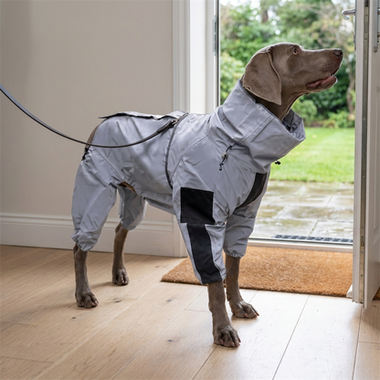 waterproof dog coat with legs reflective all weather rain suit in use