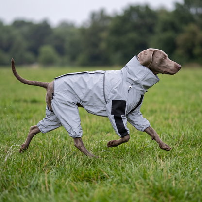 waterproof dog coat with legs reflective all weather rain suit in use